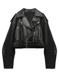 Noir Moto Jacket