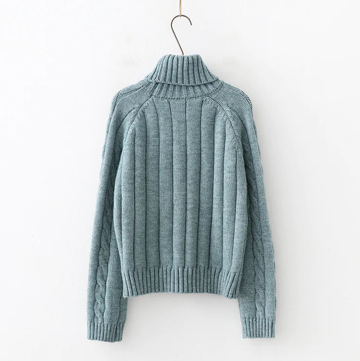 Long neck sweater