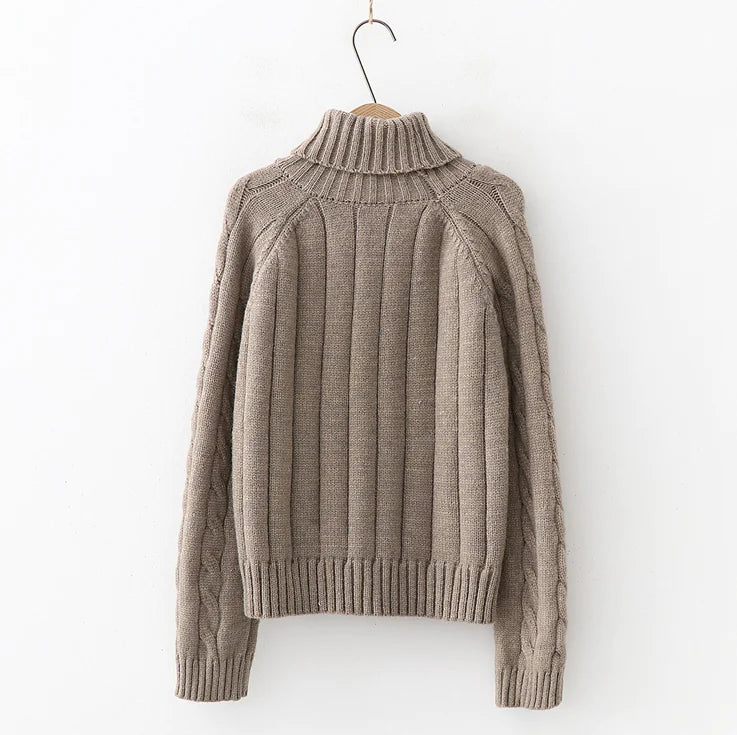 Long neck sweater